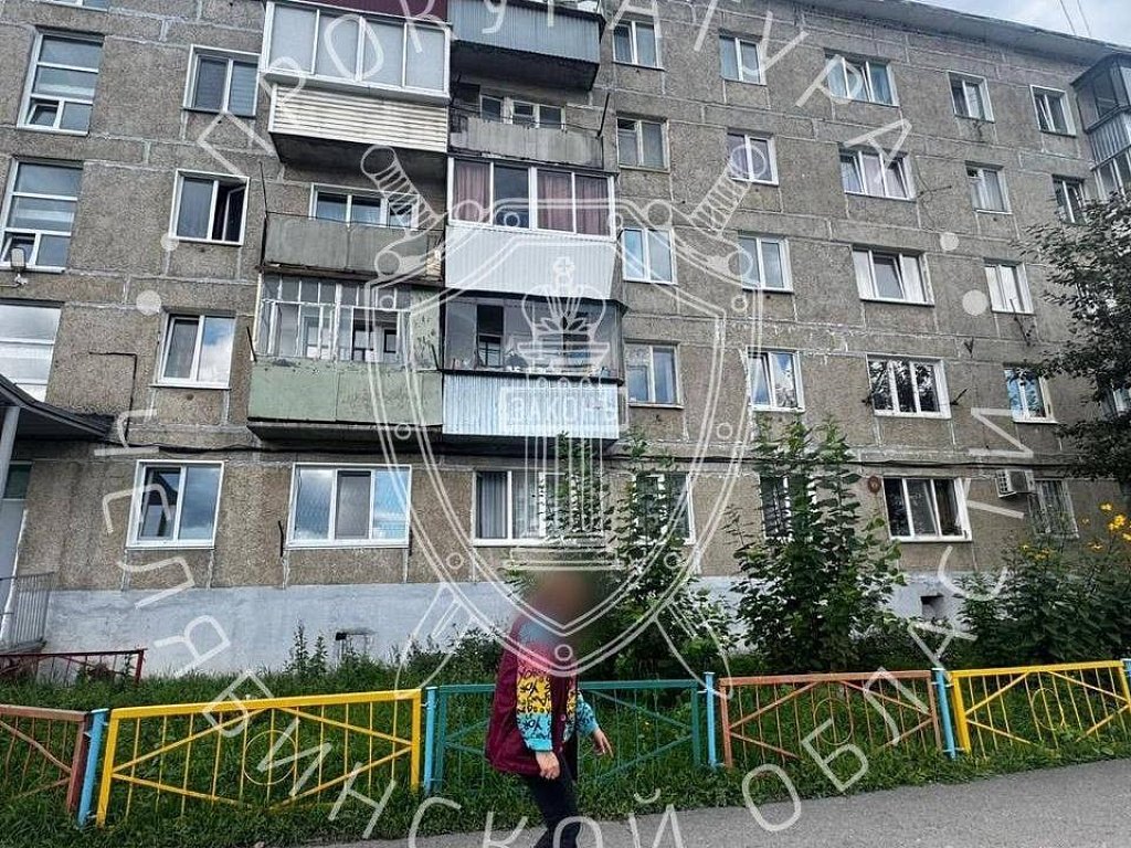 Жительница Усть-Катава выкинула кошку с 5‑го этажа на глазах у дочери