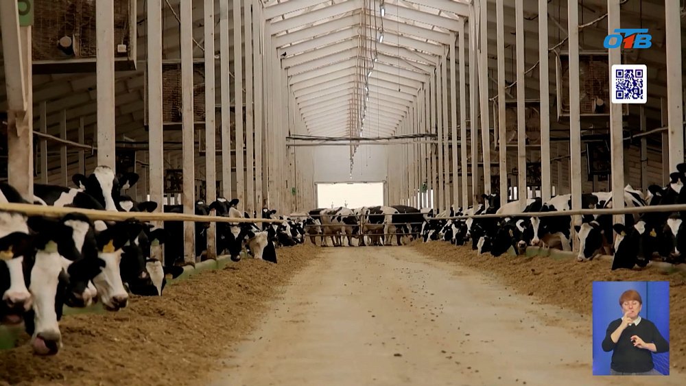 Коелгинское производство расширяется к юбилею