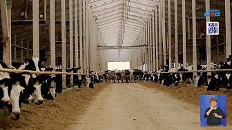 Коелгинское производство расширяется к юбилею