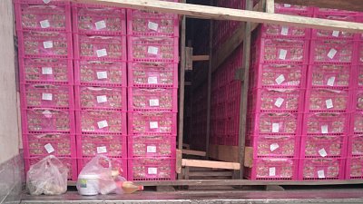 В Челябинскую область запрещен ввоз более 20 тонн винограда