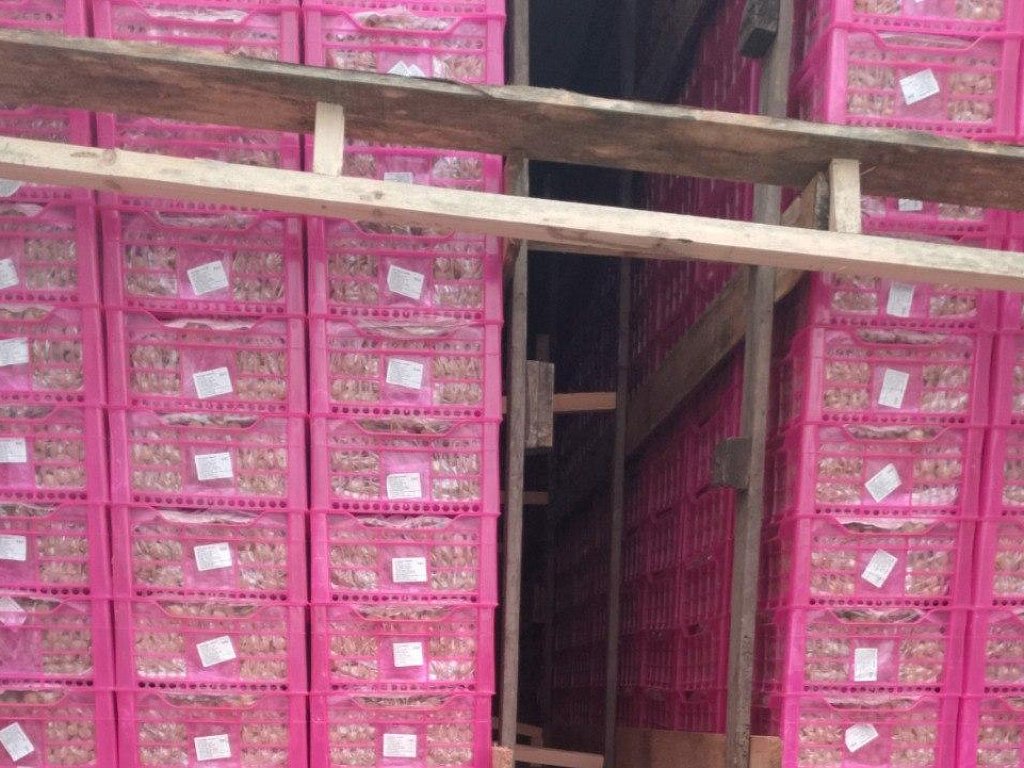 Россельхознадзор заблокировал ввоз более 20 тонн винограда на границе Челябинской области