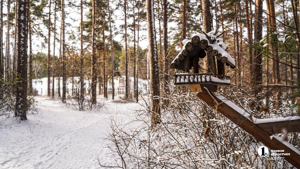 Зима-2026 в Челябинской области ожидается теплой