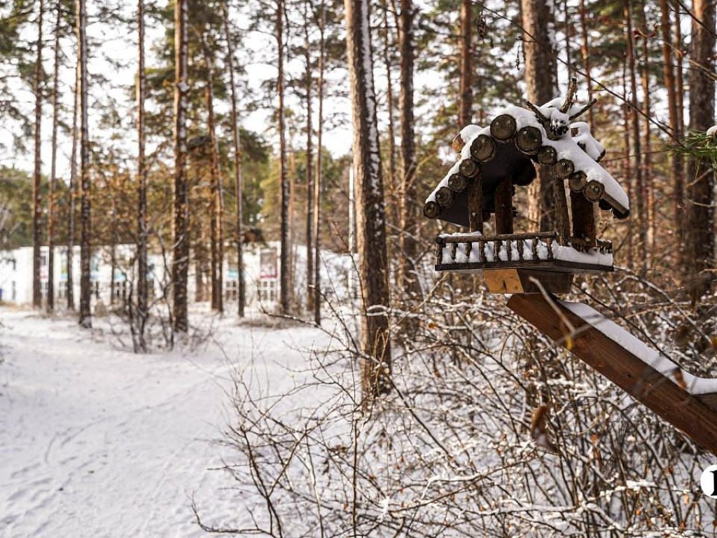 Зима-2026 в Челябинской области ожидается теплой