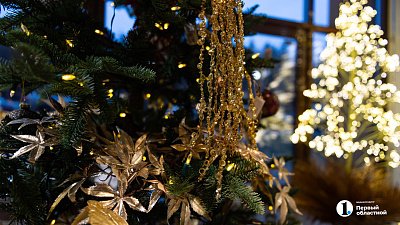 Жители Челябинской области бронируют загородные дома на новогодние каникулы