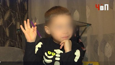 СК проверит действия опеки Челябинской области после скандала с изъятым ребенком