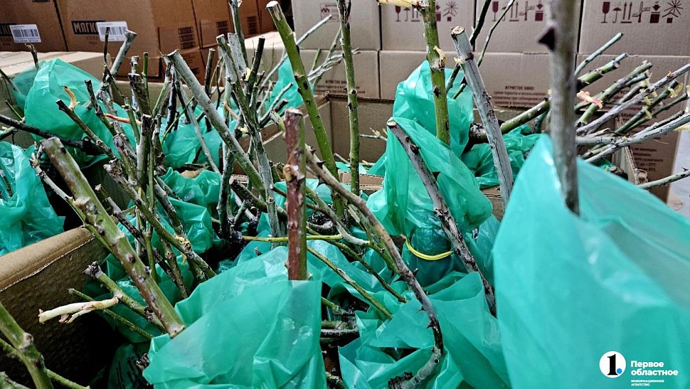 На Шершневском кольце закроют сезонную ярмарку 