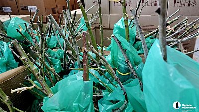 На Шершневском кольце закроют сезонную ярмарку 