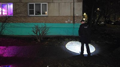 Челябинца, напавшего на ребенка с ножом на ЧМЗ, отправили лечиться