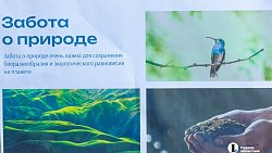 В двух школах Челябинска стартовал экопросветительский проект «Создаем экологичное будущее»