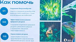 В двух школах Челябинска стартовал экопросветительский проект «Создаем экологичное будущее»