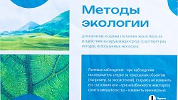 В двух школах Челябинска стартовал экопросветительский проект «Создаем экологичное будущее»