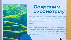 В двух школах Челябинска стартовал экопросветительский проект «Создаем экологичное будущее»