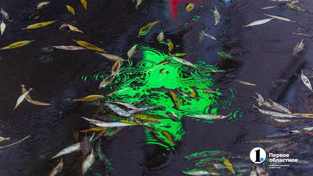 Дождливым и ветреным выдастся день 11 ноября в Челябинской области