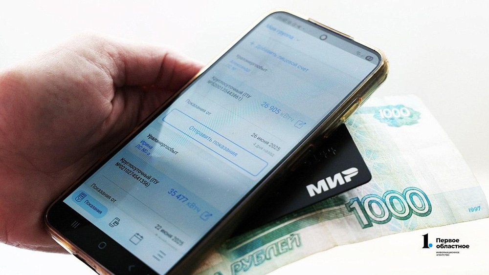 Коммуналка, быт и связь: на какие услуги южноуральцы тратят больше всего