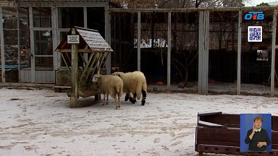 В Челябинском зоопарке очередное пополнение