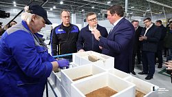 В Южноуральске запустили уникальное для страны производство варисторов