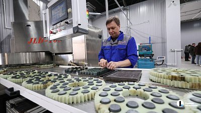 В Южноуральске запустили импортозамещающее производство варисторов