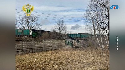 В Челябинской области 19 вагонов грузового поезда сошли с рельсов
