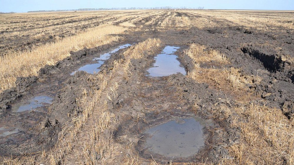 Бизнесмен из Челябинской области заплатит штраф за загрязнение земли навозом