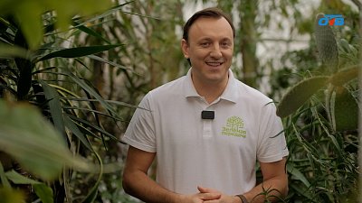 Ноябрьские возможности для садоводов