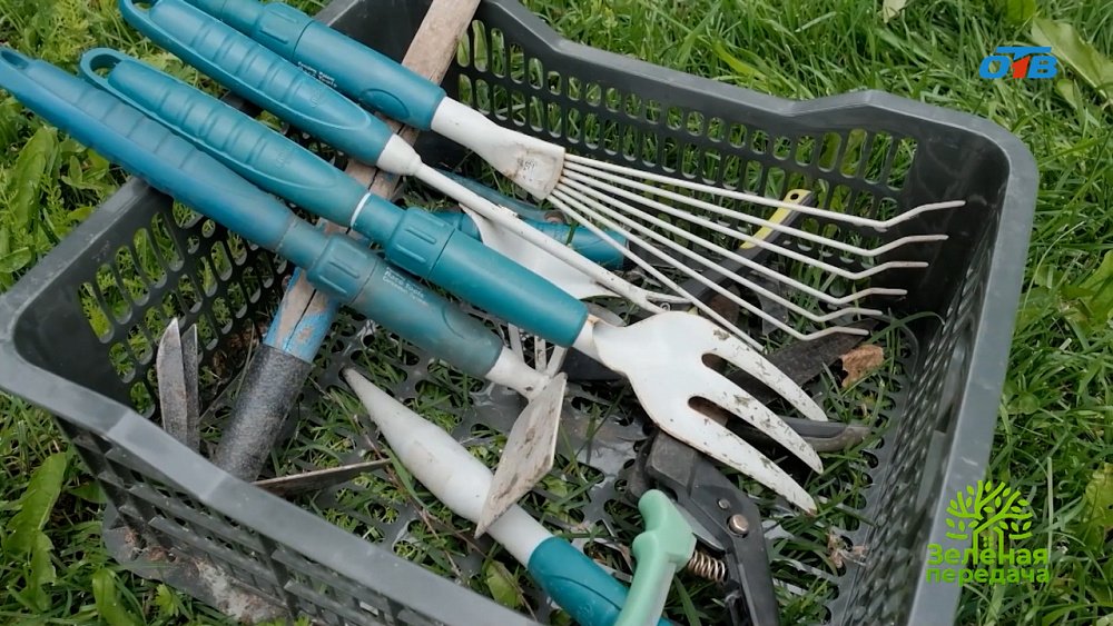 Рекомендации для садоводов по подготовке загородного участка к зиме