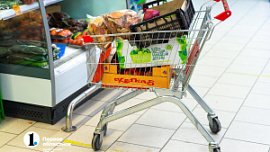 В Челябинской области агроагрегаторы облегчат доступ фермерской продукции на прилавки