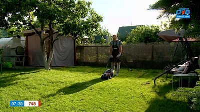 Как получить идеальный газон — советы эксперта в рубрике «Руки садовода»