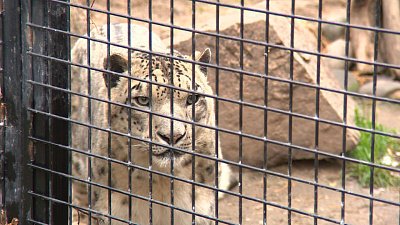 Челябинский зоопарк перешел на зимний режим работы