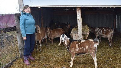 Более 3,8 тыс. южноуральцев стали жить лучше благодаря соцконтрактам в 2025 году