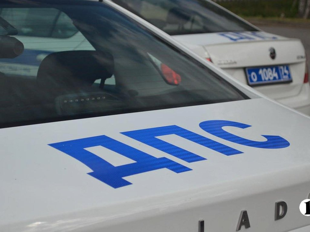 В Челябинской области в ДТП погибли 255 человек в 2025 году