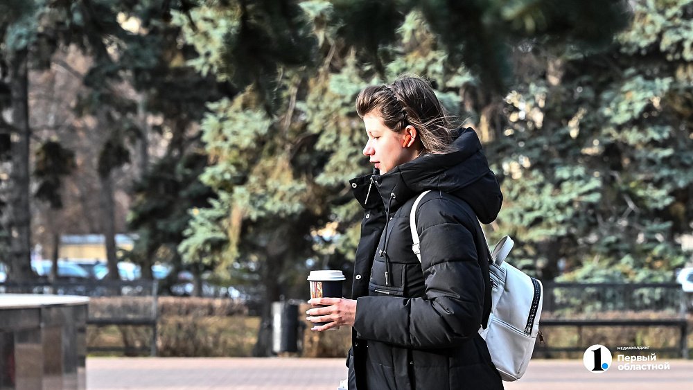 Вторая декада ноября завершится теплом до +8 в Челябинской области