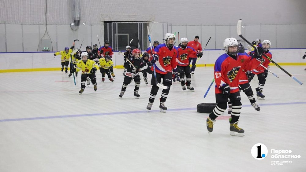 В селе Миасском построили новый крытый хоккейный корт