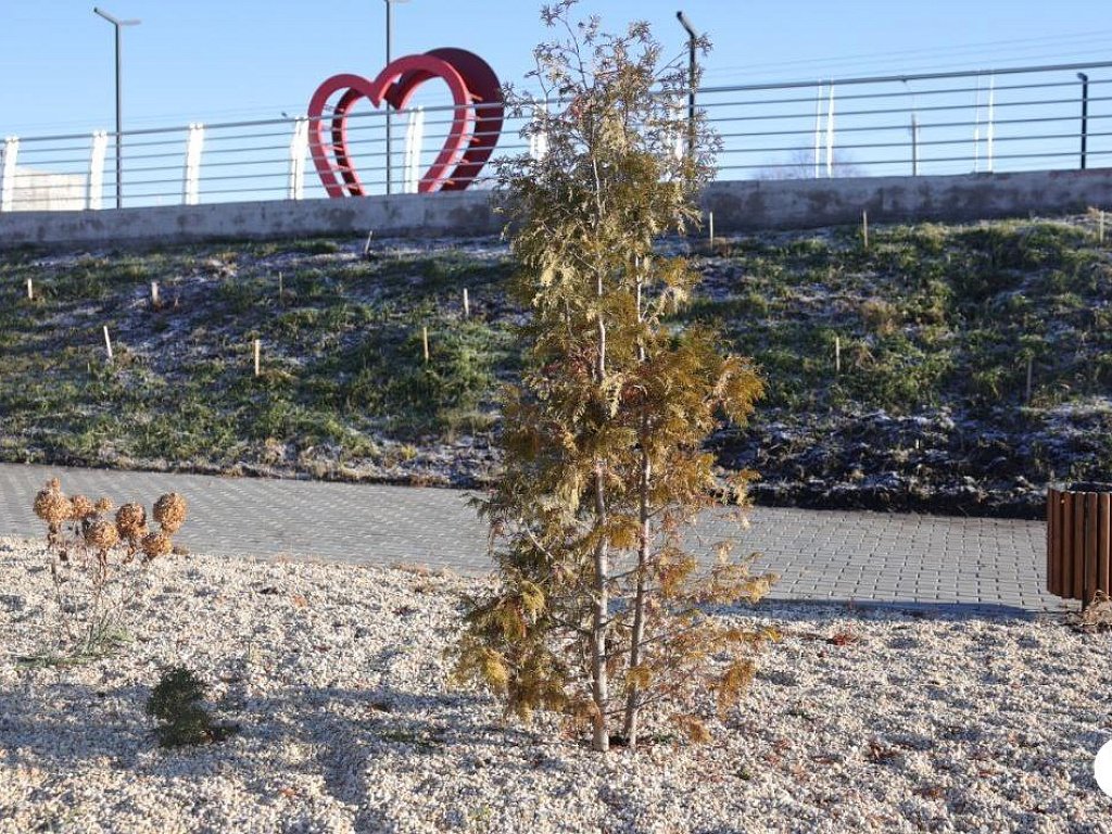 На новой набережной в Миасском сделали смотровую площадку