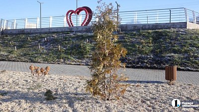 На новой набережной в Миасском сделали смотровую площадку