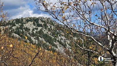 До +5 потеплеет в Челябинской области 18 ноября