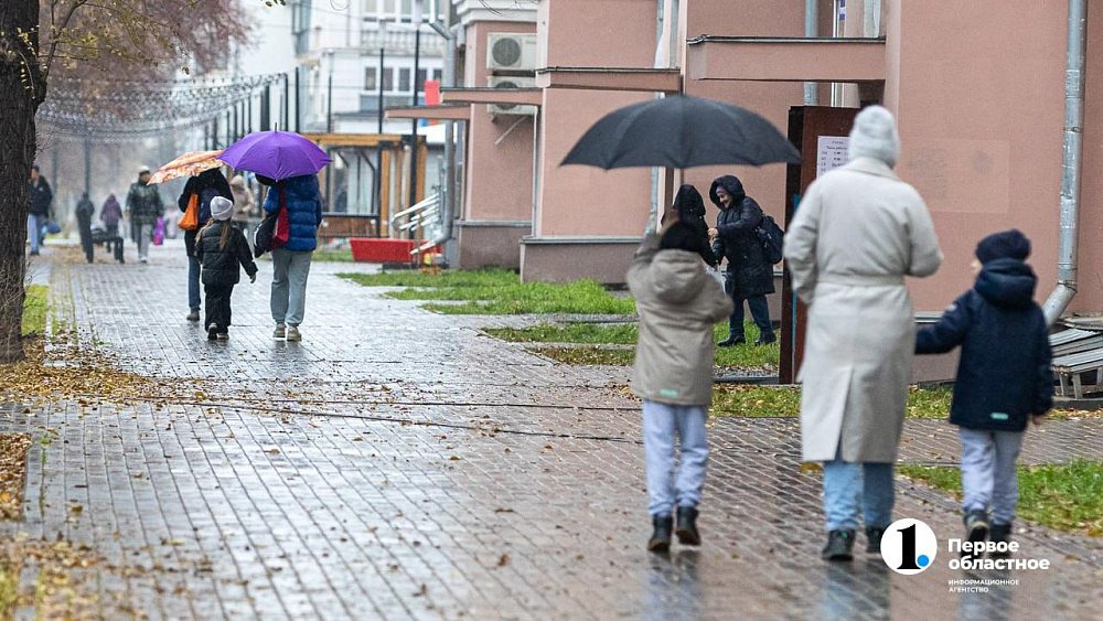 Дожди и шквалистый ветер принесет циклон в Челябинскую область 19 ноября
