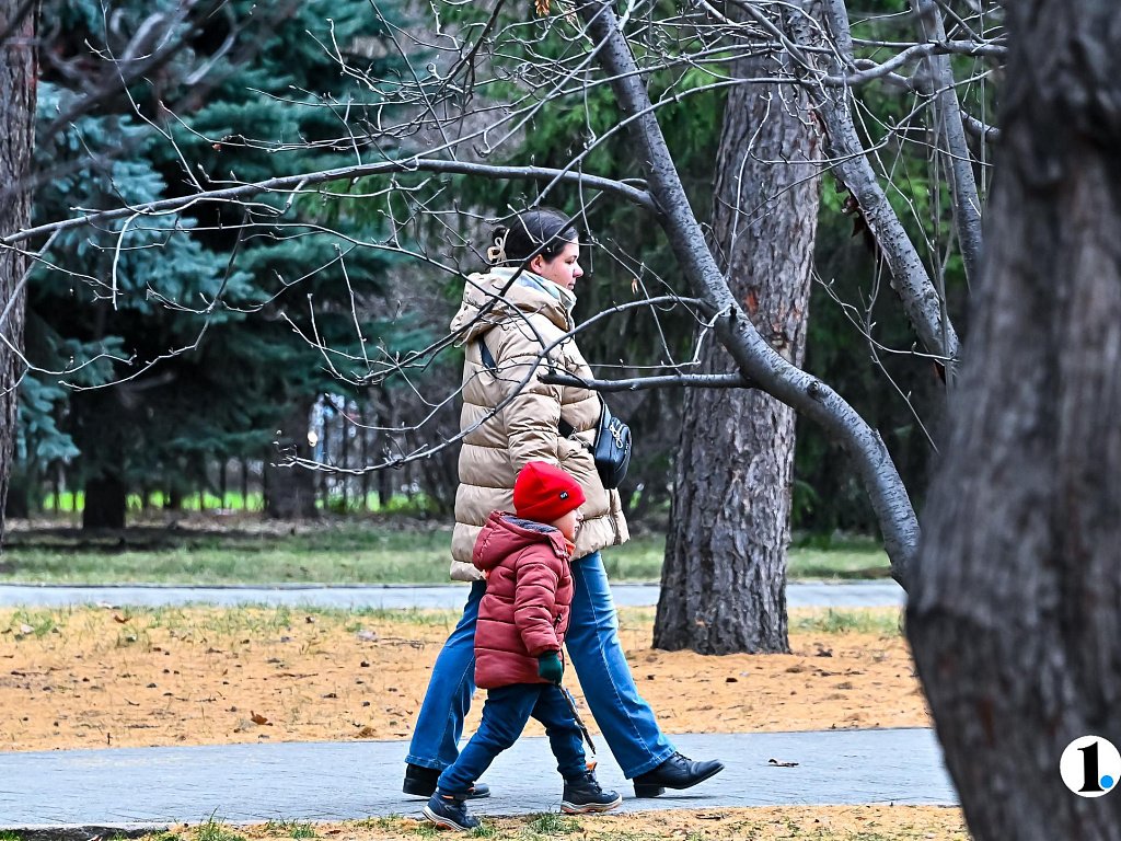 Аномально тепло будет в Челябинской области 19 ноября