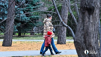 Аномально тепло будет в Челябинской области 19 ноября