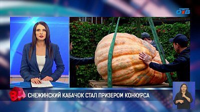 Снежинский кабачок стал призером конкурса овощей