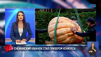 Снежинский кабачок стал призером конкурса овощей