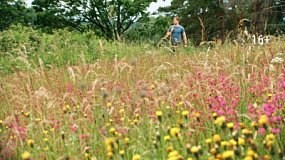 «Своя земля»: на ОТВ стартует новый драматический сериал