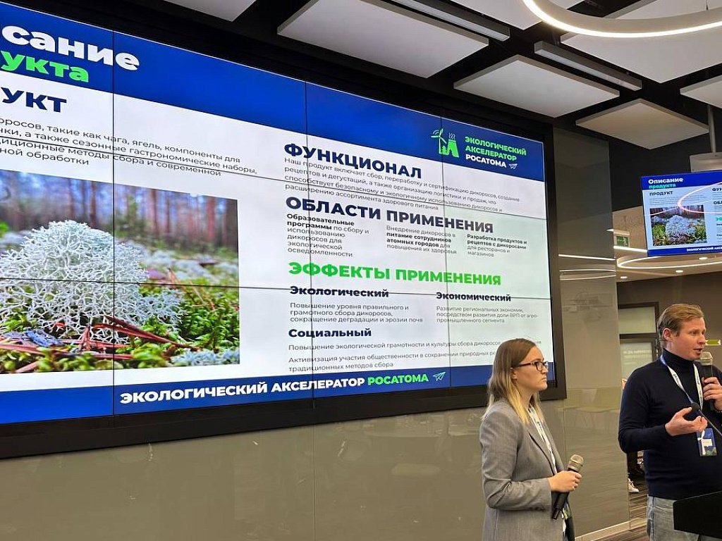 Пять проектов из Челябинской области прошли в финал экоакселератора Росатома