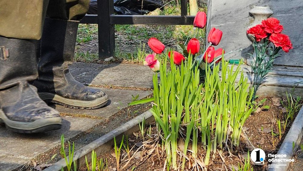 Рядом с Челябинской областью может появиться легальное кладбище домашних животных