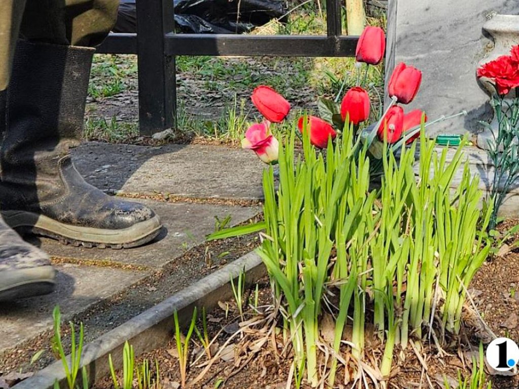 Рядом с Челябинской областью может появиться легальное кладбище домашних животных