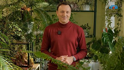 Эксперты «Зеленой передачи» рассказали о завершающих работах в саду