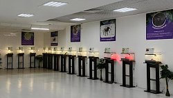 В Челябинске оштрафовали владельца передвижного зоопарка с ящерицами и змеями