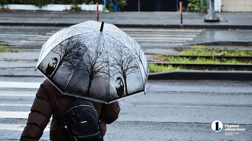 Теплую и ненастную погоду обещают в Челябинской области 22 ноября