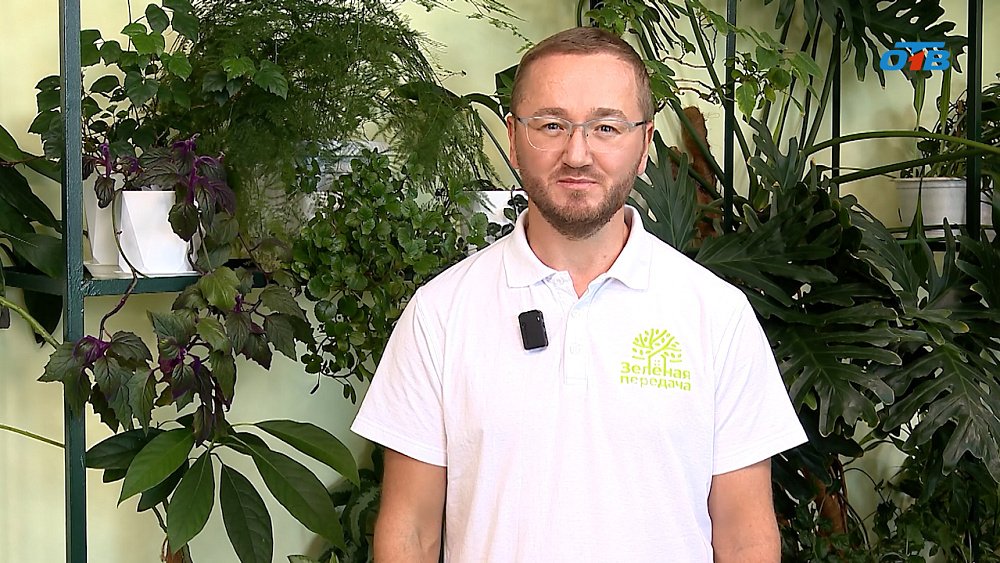 Чем порадовал уходящий садовый сезон