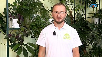 Чем порадовал уходящий садовый сезон