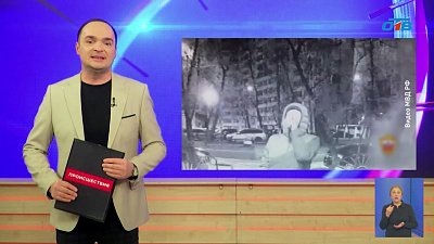 Челябинца задержали за нападение на шахматиста в Москве